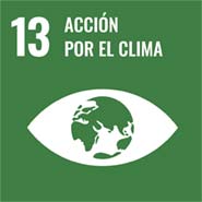 acción clima