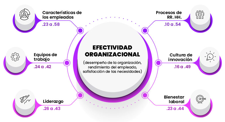Efectividad Organizacional
