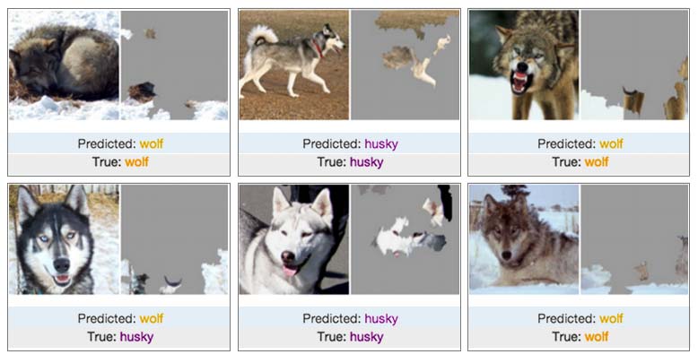 Machine Learning Predictions
