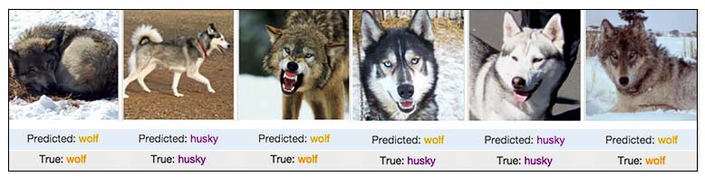 Machine Learning Predictions